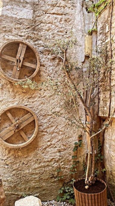 فيلا Aux Quatre Voutes Saint-Marcel-d'Ardeche المظهر الخارجي الصورة